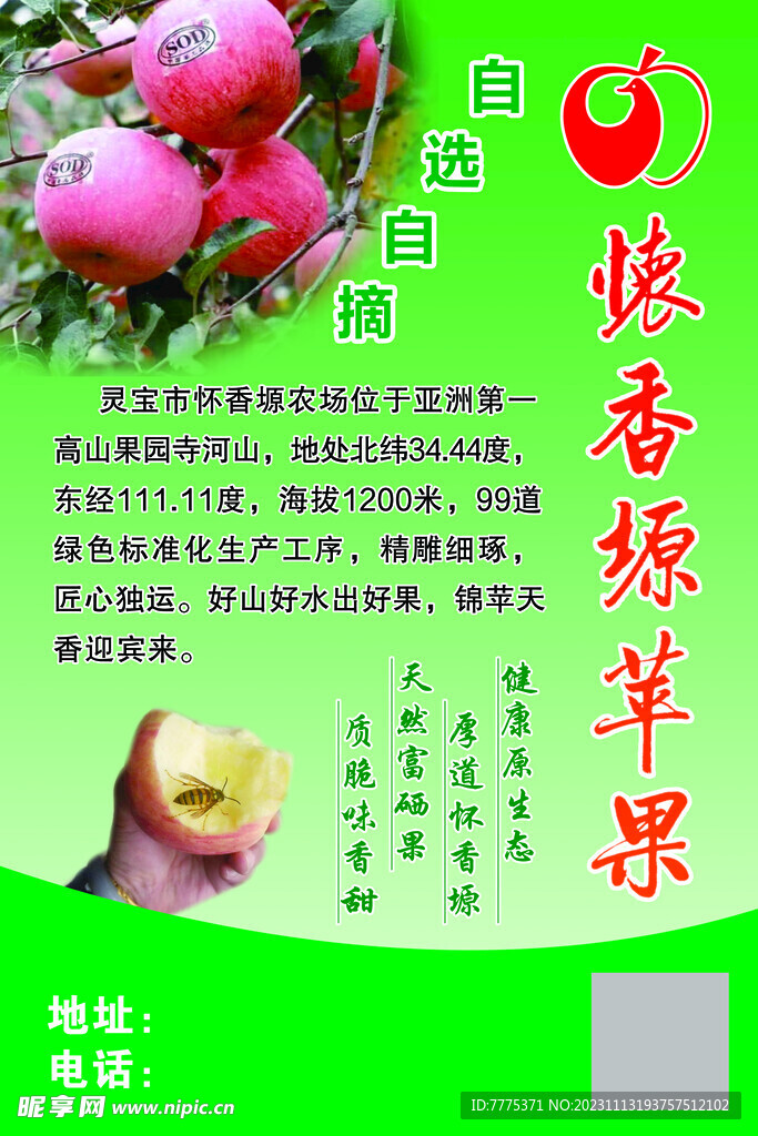 灵宝苹果