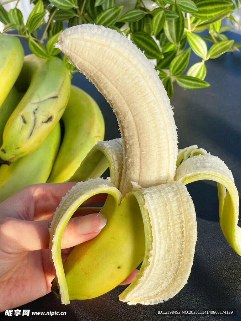 香蕉