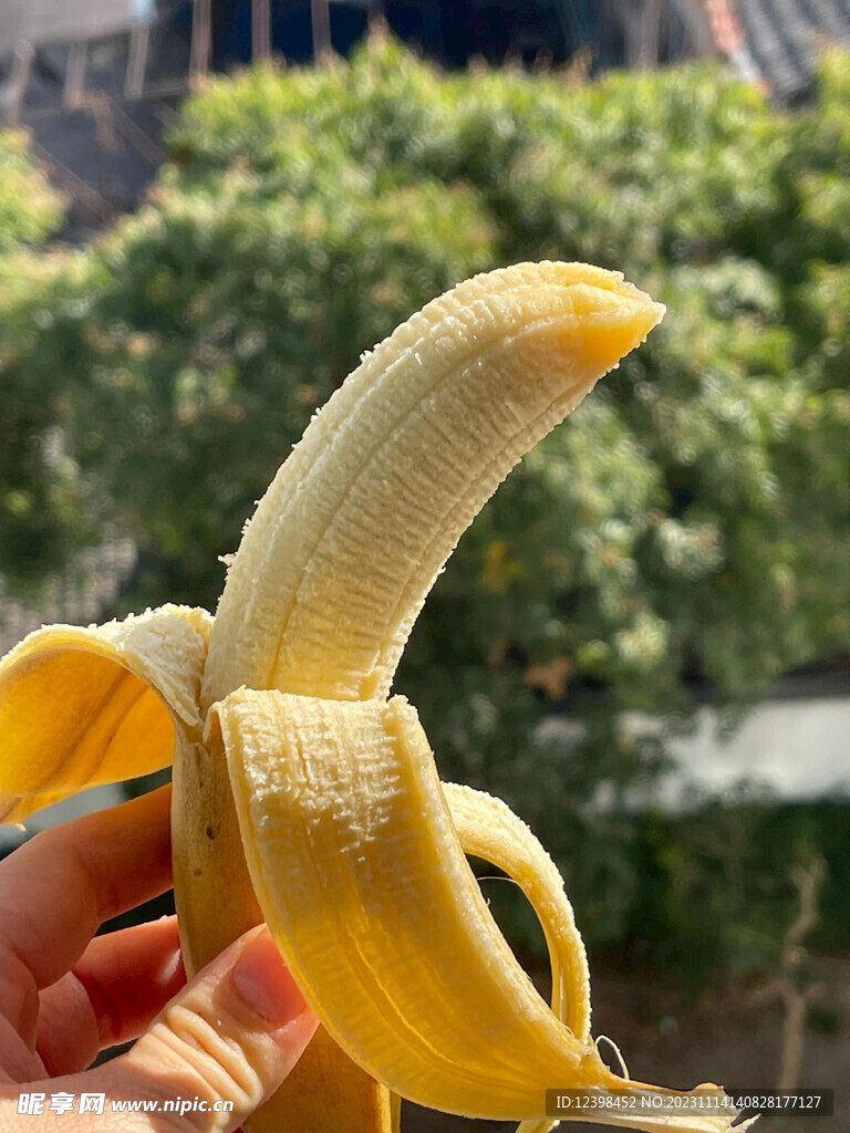 香蕉
