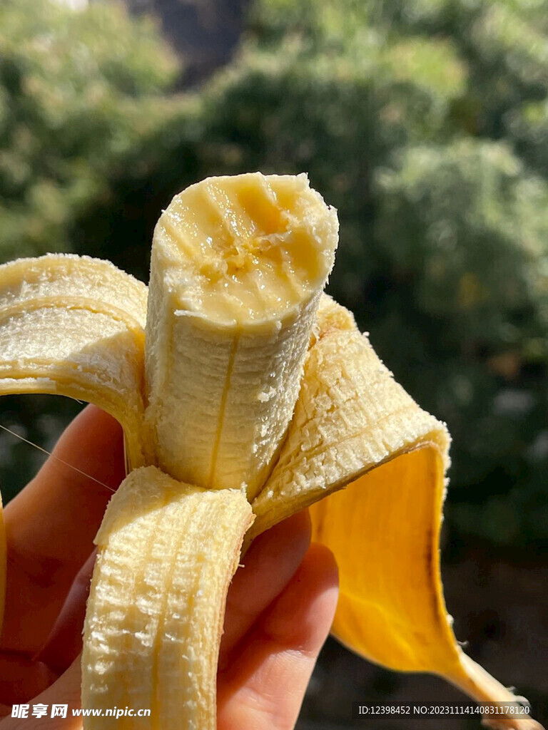 香蕉