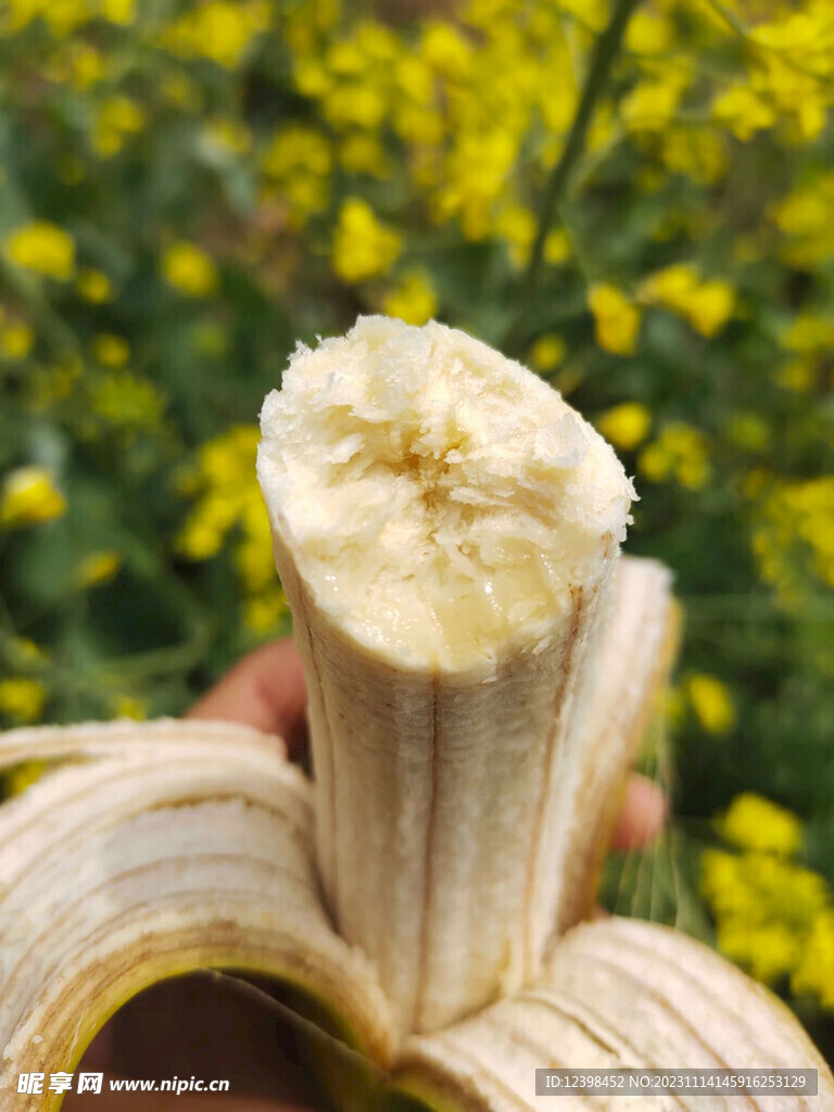 香蕉