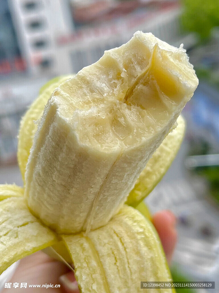 香蕉