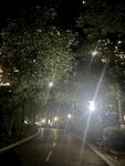 小道夜景