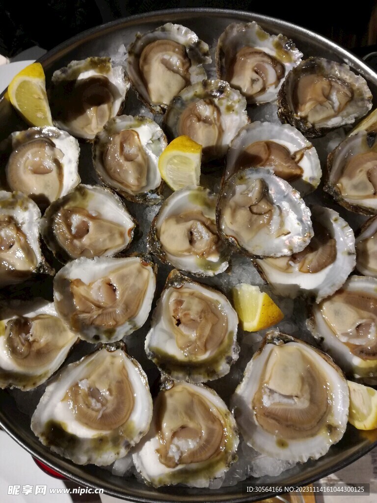 生蚝