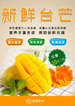 新鲜台芒