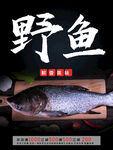 野生鱼