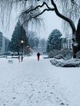 建筑园林雪景