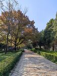 石像路  