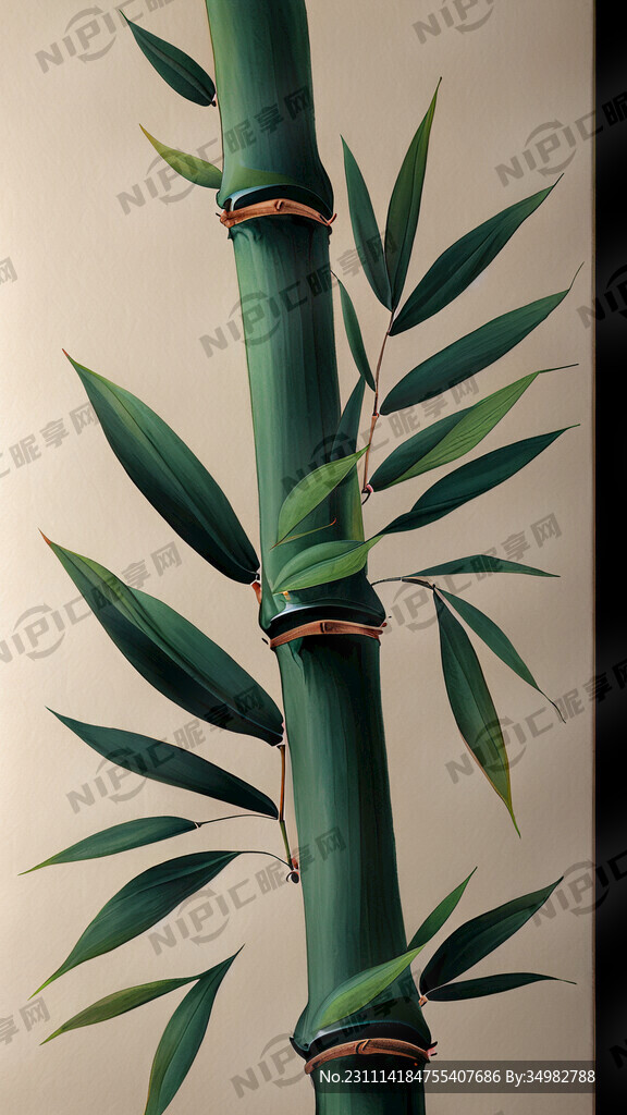 竹叶 手绘 清新