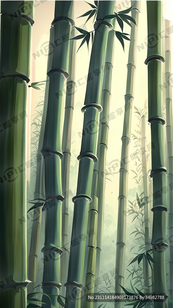 竹林 手绘 清新