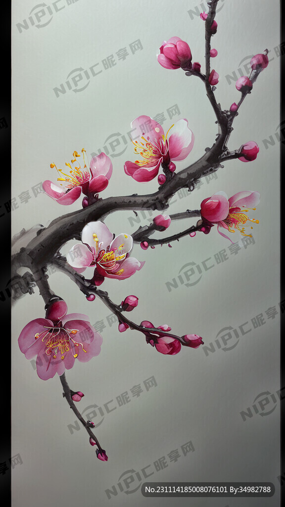 梅花  手绘 清新