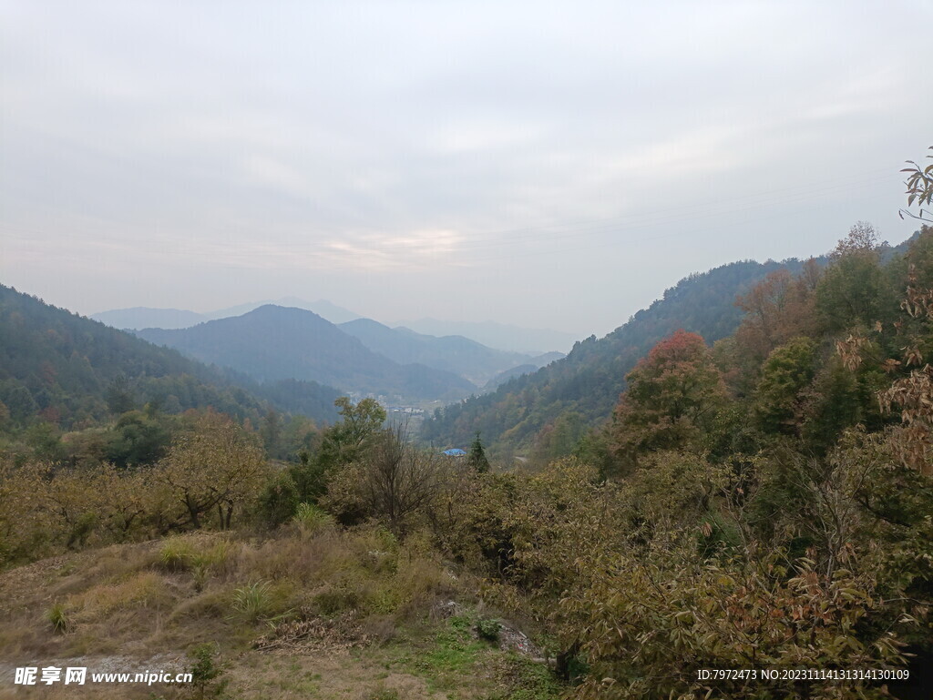 山野