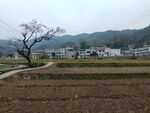 鄂东山村