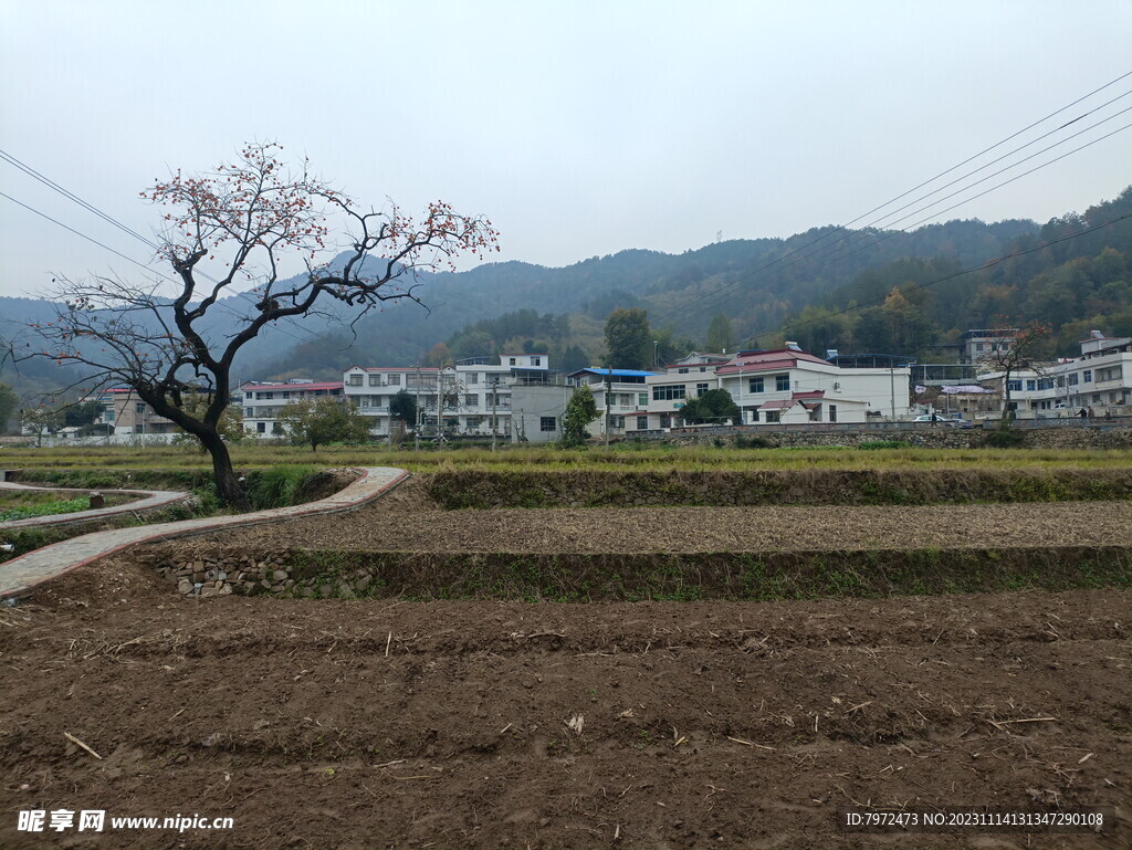 鄂东山村