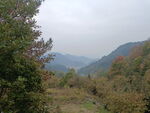 山里