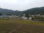田园风光