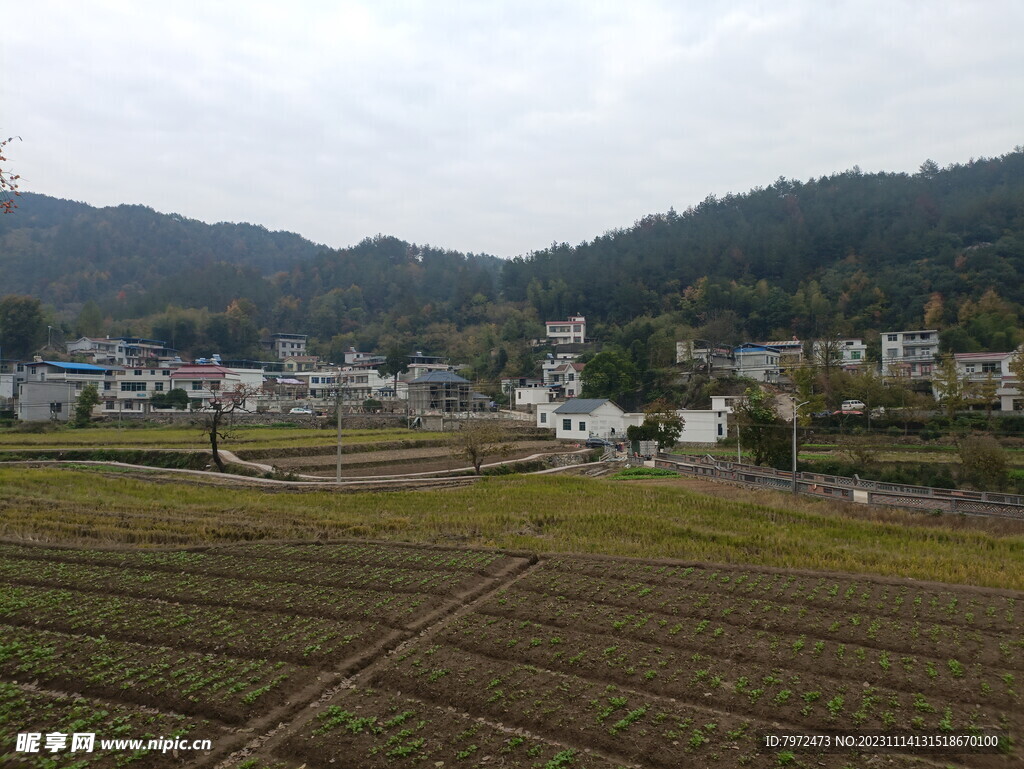 田园风光