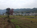 田园风光