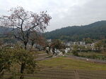 田园风光