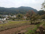 田园风光