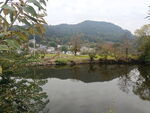 田园风光