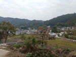 田园风光