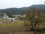 田园风光