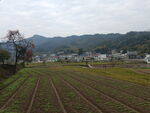 田园风光