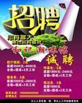 招聘  