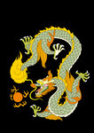 卡通龙  