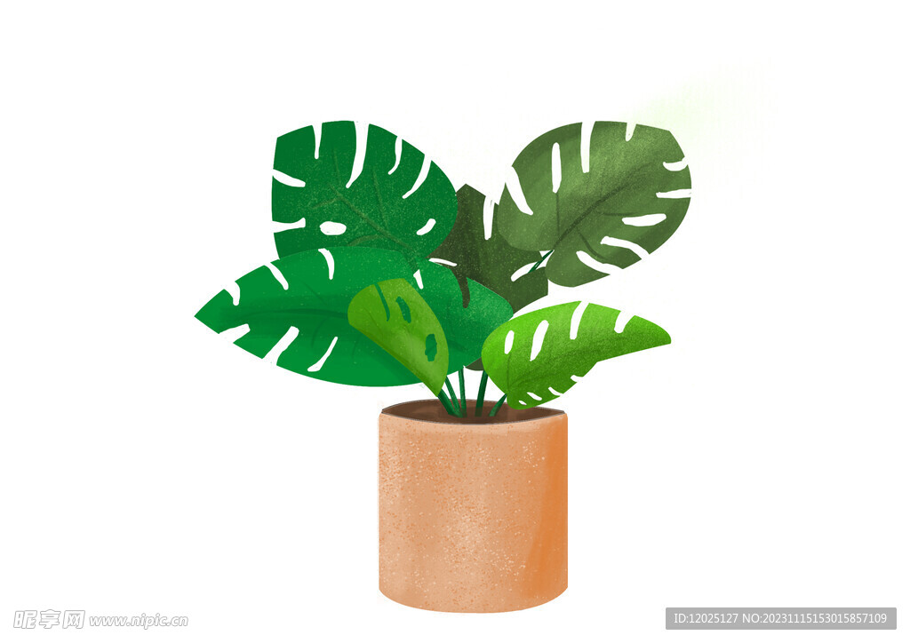 植物