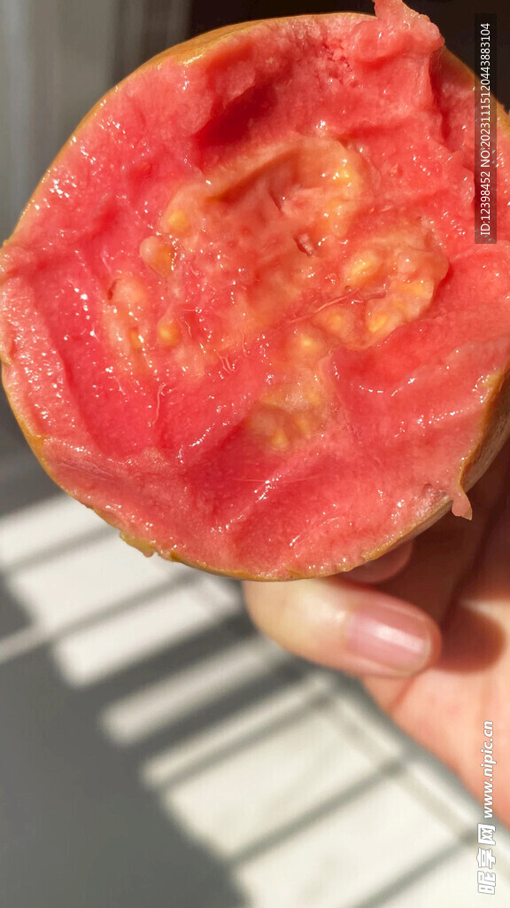 芭乐