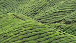 自然风光 山水风光 风景图片 