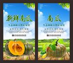 南瓜