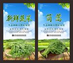 茼蒿