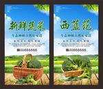 西蓝花