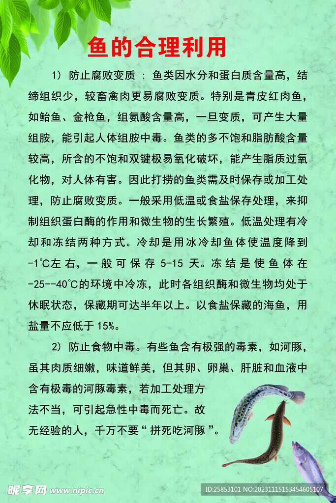 鱼的合理利用