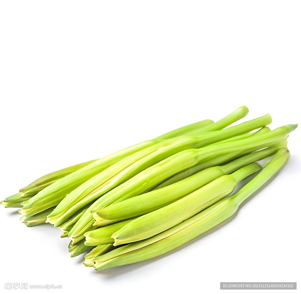 黄花菜