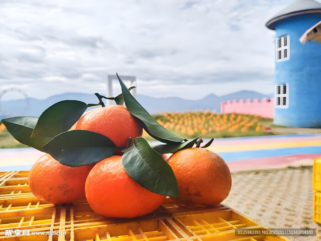 橙子