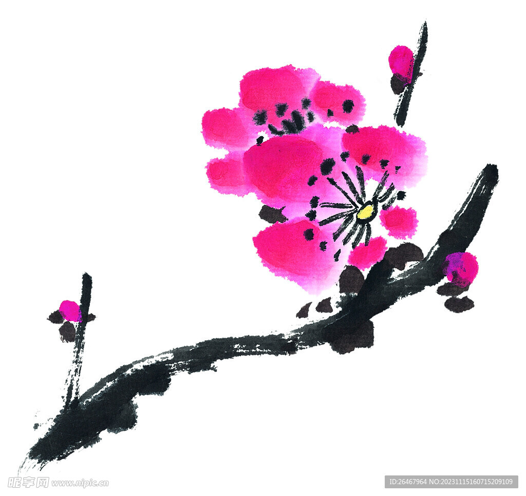国画花卉梅花