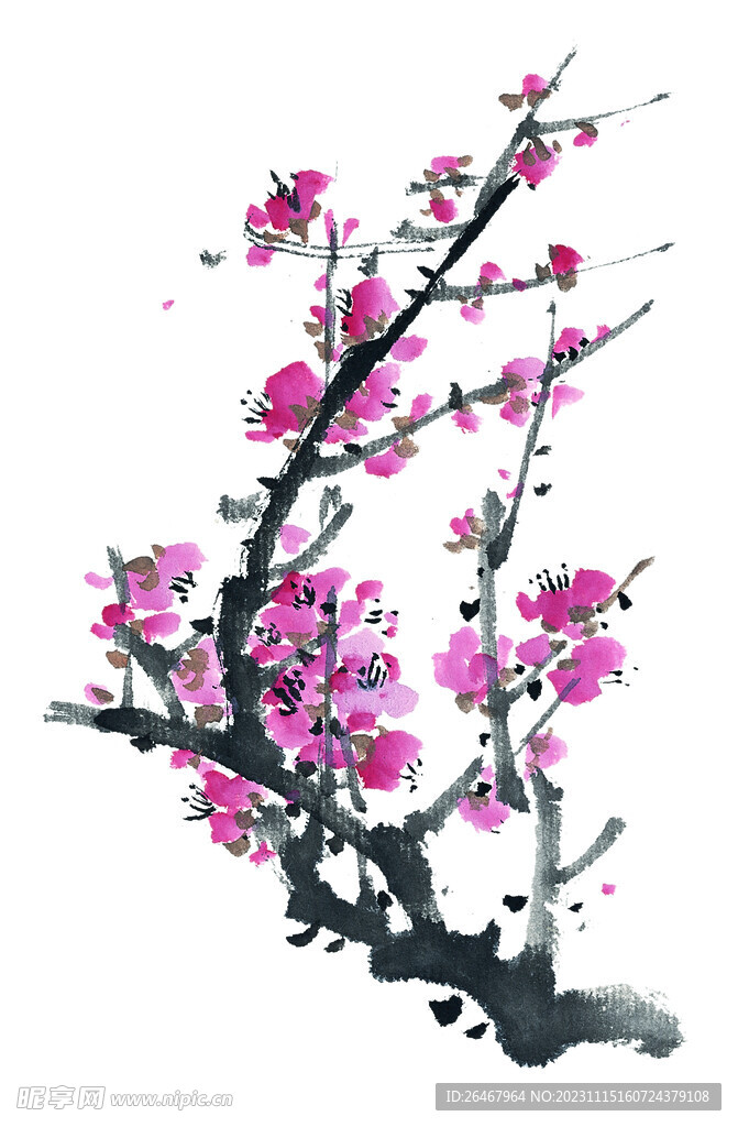 梅花