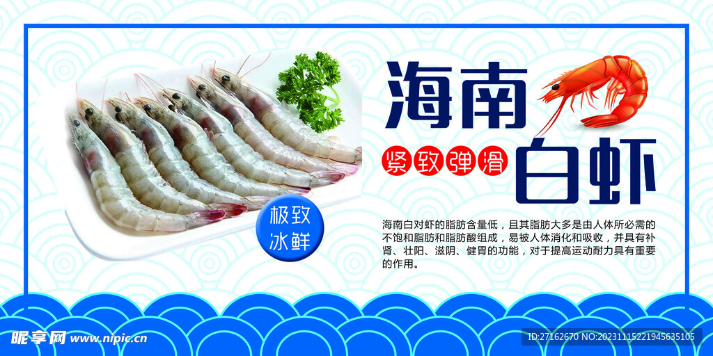 海南 白虾