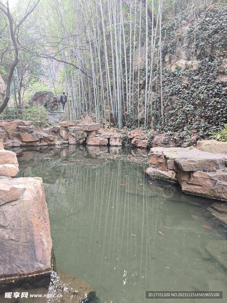 竹林山水