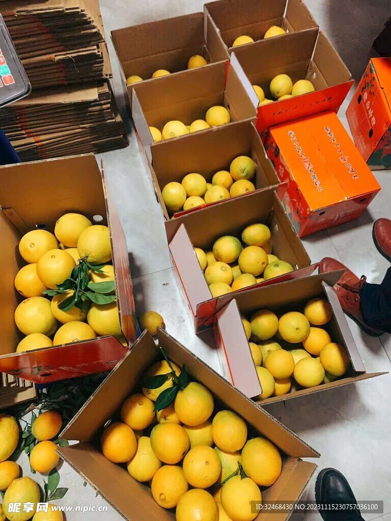 脐橙
