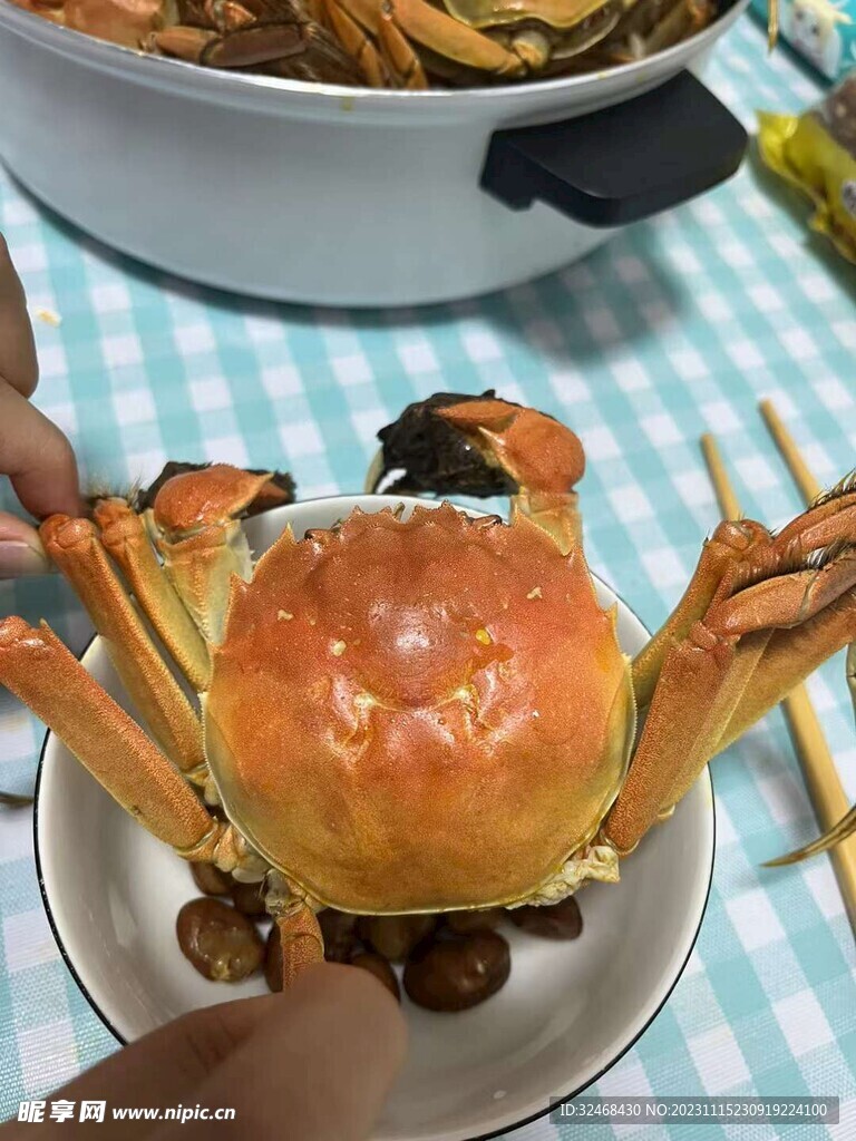 螃蟹