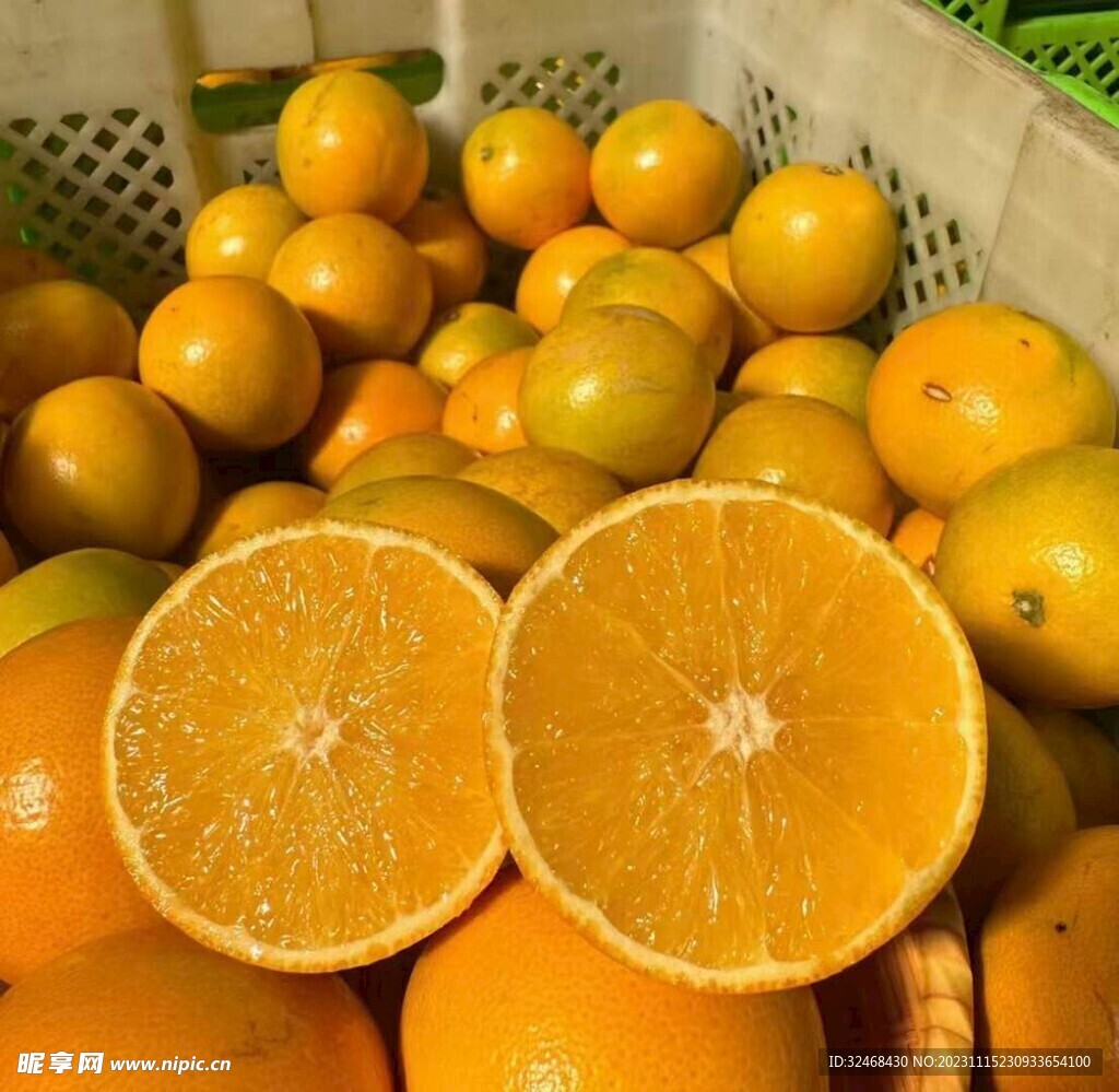 脐橙