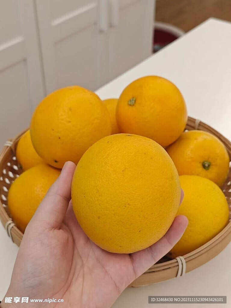 脐橙