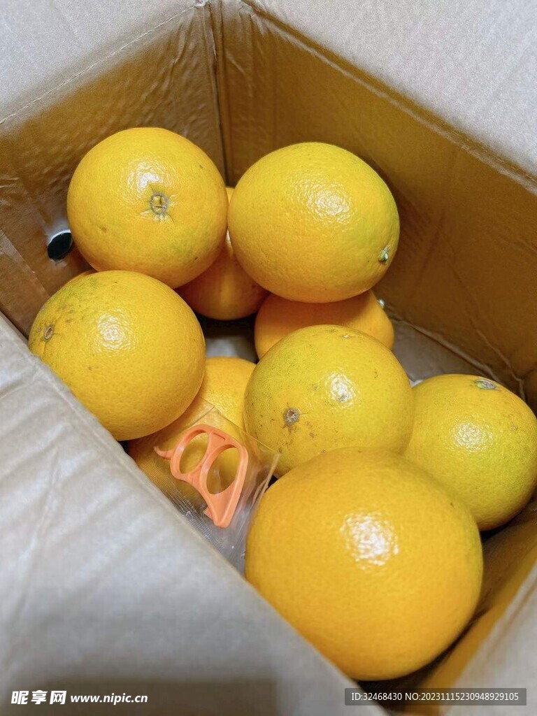 脐橙
