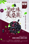 桑葚