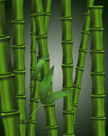 竹子背景素材高清手绘